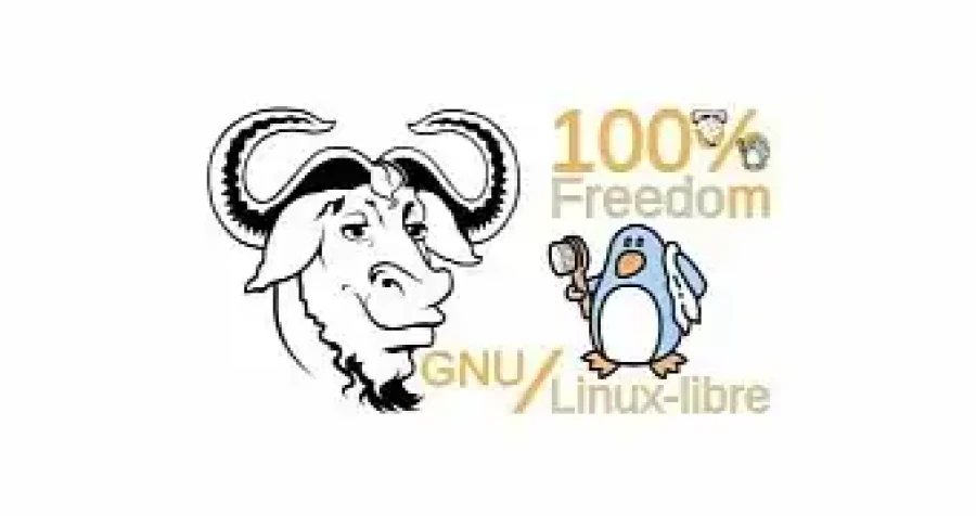 Gnu Linux Libre 5 4 Kernel Released For Those Seeking 100 Freedom For Their Pcs Esm W900