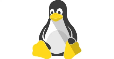 Linux Esm H200